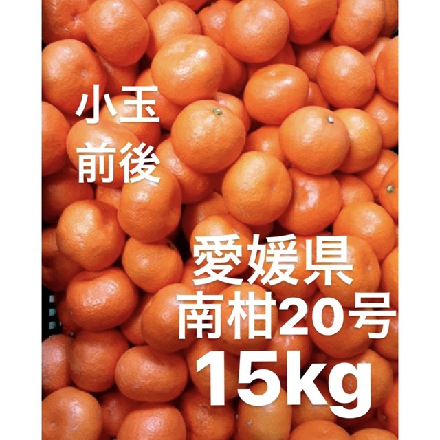 愛媛県産　南柑20号　みかん　柑橘　　15kg