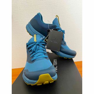 アークテリクス(ARC'TERYX)のARC'TERYX／NORVAN LD 2 GTX M(登山用品)