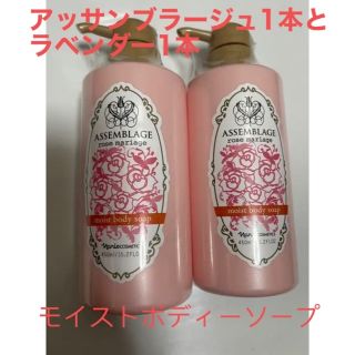 ナリスケショウヒン(ナリス化粧品)のナリス化粧品　アッサンブラージュモイストボディソープ 450ml×2セット(ボディソープ/石鹸)