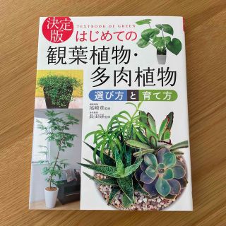 はじめての観葉植物・多肉植物選び方と育て方 決定版(趣味/スポーツ/実用)