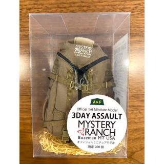 ミステリーランチ(MYSTERY RANCH)の【ジョージ★ハンシン様専用】ミステリーランチ 3Day Assault(バッグパック/リュック)