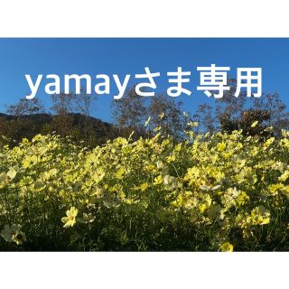 ニッカウイスキー(ニッカウヰスキー)のyamayさま専用(ウイスキー)