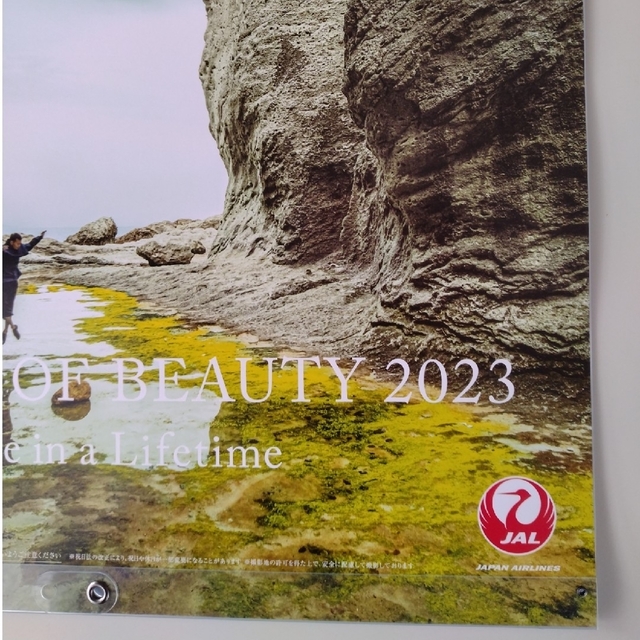 JAL(日本航空)(ジャル(ニホンコウクウ))のJALカレンダーA WORLD OF BEAUTY 2023 インテリア/住まい/日用品の文房具(カレンダー/スケジュール)の商品写真