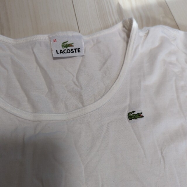 LACOSTE(ラコステ)の美品　LACOSTE　Tシャツ　38 レディースのトップス(Tシャツ(半袖/袖なし))の商品写真