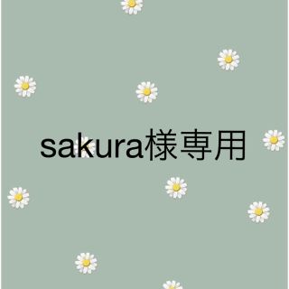 sakura様専用(ドライフラワー)