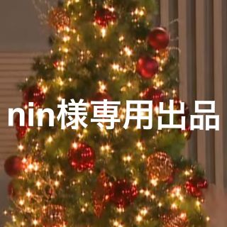 nin様専用出品(国内アーティスト)