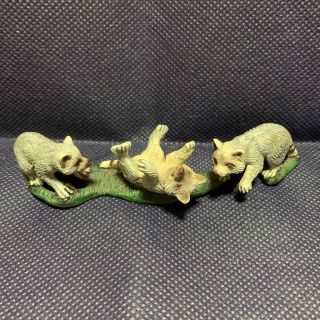 シュライヒ(Schleich)のシュライヒ　アライグマ仔　廃盤(その他)