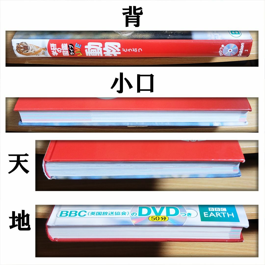 学研の図鑑 LIVE　動物／今泉忠明【あんしん補償】 エンタメ/ホビーの本(絵本/児童書)の商品写真