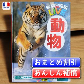 学研の図鑑 LIVE　動物／今泉忠明【あんしん補償】(絵本/児童書)