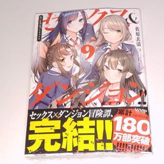 セックス＆ダンジョン！！ ９(青年漫画)