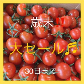 歳末大セール♪ミニトマト3kg(野菜)