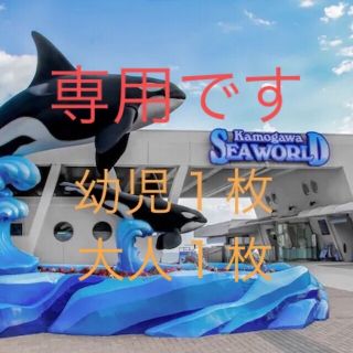 ☆専用☆鴨川シーワールド　大人１枚幼児１枚(水族館)