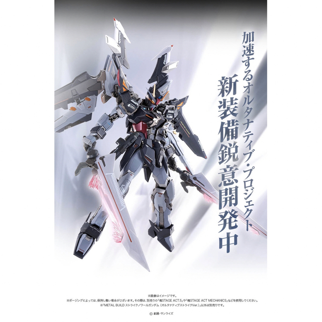 BANDAI NAMCO Entertainment - METAL BUILD ストライクノワール