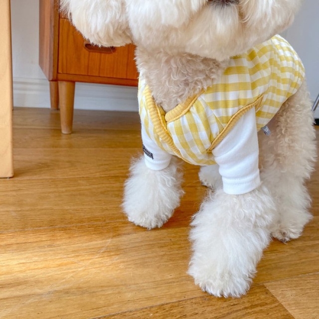 犬服　ペット服　ドッグウェア　可愛い　オシャレ　犬用品　ベスト　コート その他のペット用品(犬)の商品写真