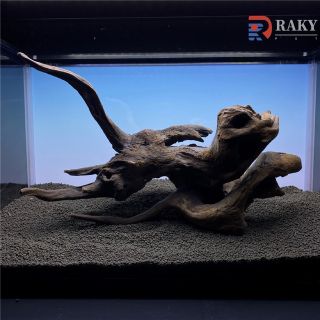ADA LAB限定パルダライト30MARU 展示スタンドセット 品質の良い商品