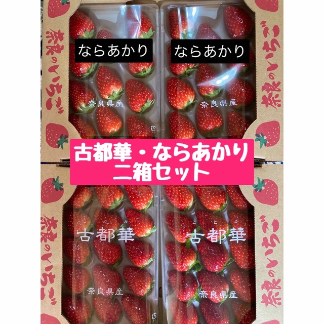 古都華　ならあかり　2箱セット　食べ比べ　奈良県　農家直送　橋本農園　いちご