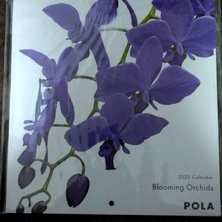 ポーラ(POLA)のPOLA 2023年カレンダー　壁掛け 蘭(カレンダー/スケジュール)