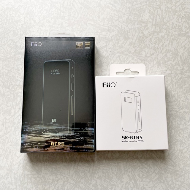 Fiio BTR5 2021 レザーケース付き