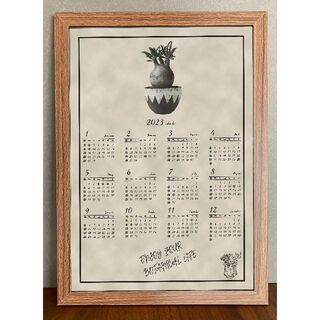 【#158】パキポディウム　グラキリス　2023カレンダー(アート/写真)