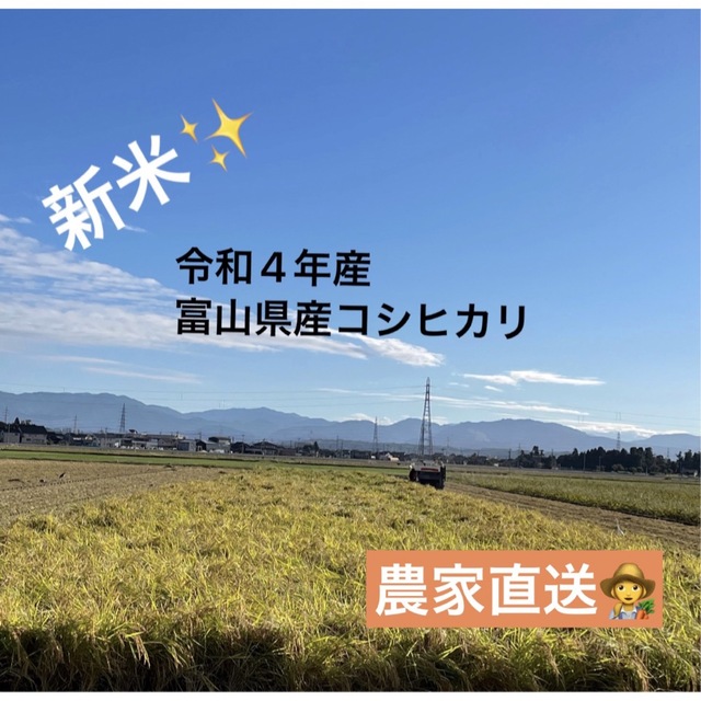 令和4年産富山県産　コシヒカリ　米/穀物