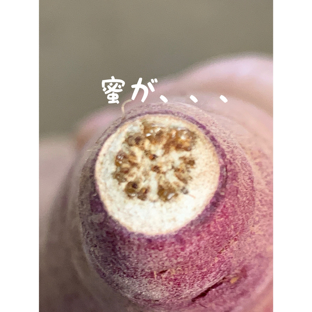 千葉県産さつまいも　熟成シルクスイート  サイズミックス　5kg 食品/飲料/酒の食品(野菜)の商品写真