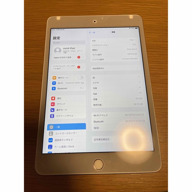 iPad mini4 64G