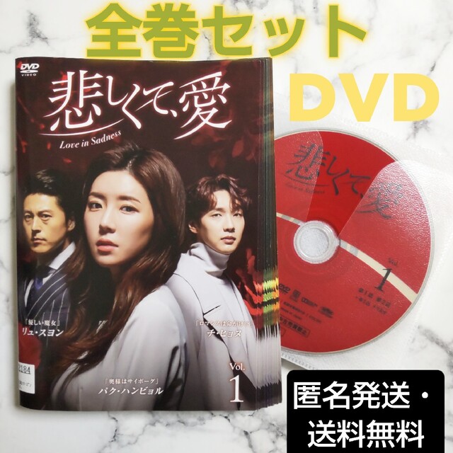 チ・ヒョヌ☆リュ・スヨン『悲しくて、愛』レンタル落ちDVD☆全巻