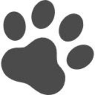 追加送料（速達郵便変更分）(サーカス)