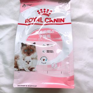猫まっしぐら! ロイヤルカナン 子猫 前期用 400g×2袋 キャットフード