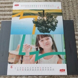 ニッスイ 卓上カレンダー2023年(カレンダー)