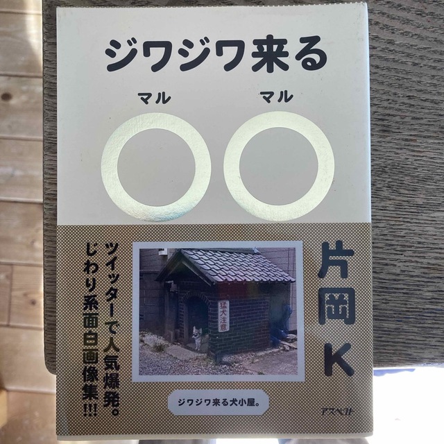 ジワジワ来る〇〇 思わず二度見しちゃう面白画像集 エンタメ/ホビーの本(アート/エンタメ)の商品写真