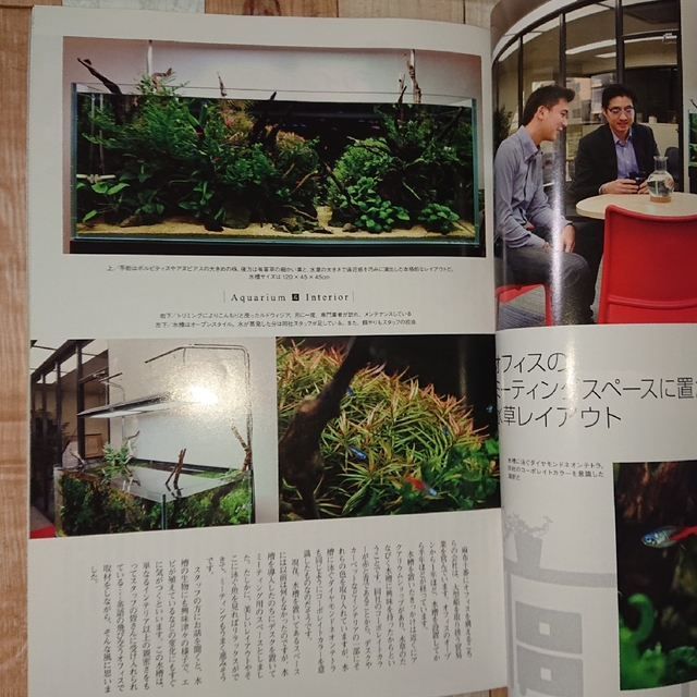 永遠の定番モデル ADA LAB限定パルダライト30MARU スタンドセット