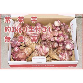 紫菊芋 紅菊芋 きくいも 1㎏ 匿名配送 栄養豊富 愛知産 新鮮 野菜 とりたて(野菜)