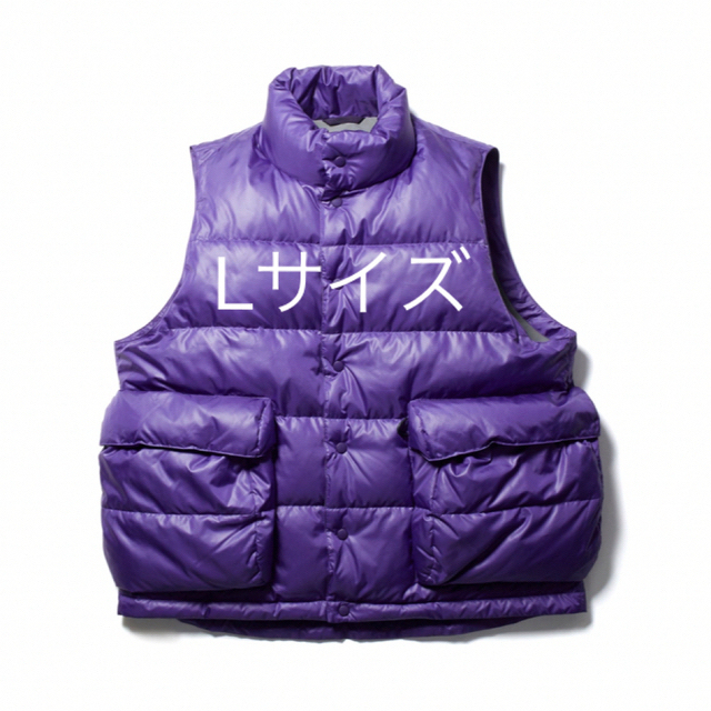 DAIWA PIER39 TECH BACK PACKER DOWN VEST