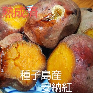 熟成済　種子島産安納紅ミニ・2Sサイズ混合5キロ(野菜)