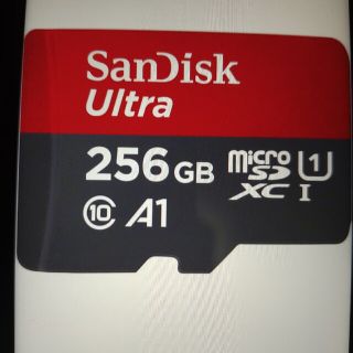 サンディスク(SanDisk)のマイクロSDカード　256GB(その他)