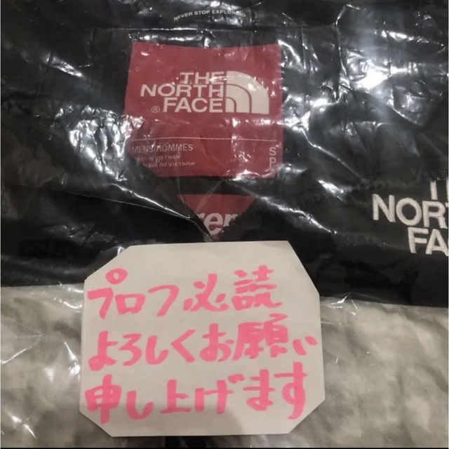 Supreme(シュプリーム)の希少S Supreme North Face Paper Nuptse 紙ヌプシ メンズのジャケット/アウター(ダウンジャケット)の商品写真