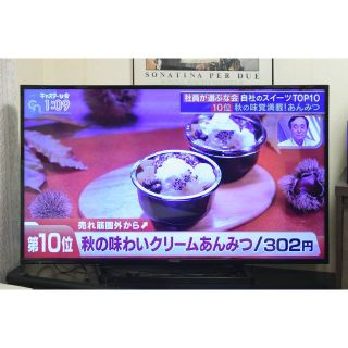 パナソニック(Panasonic)のPanasonic VIERA TH-49D300 49インチ ジャンク(テレビ)