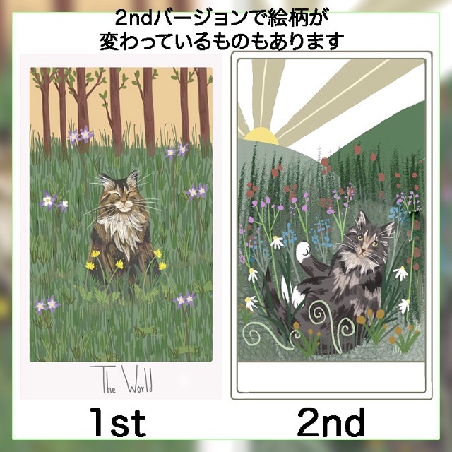 大変珍しい 猫のタロット 直売廉価 kikuchi-farm.com