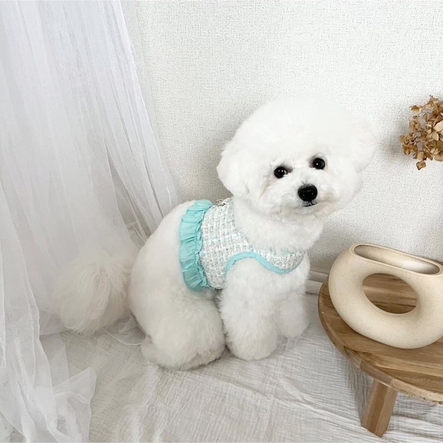 犬服　ペット服　ドッグウェア　可愛い　オシャレ　犬用品　ハーネス その他のペット用品(犬)の商品写真