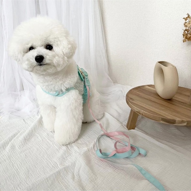 犬服　ペット服　ドッグウェア　可愛い　オシャレ　犬用品　ハーネス その他のペット用品(犬)の商品写真