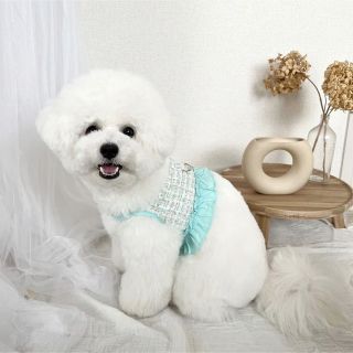 犬服　ペット服　ドッグウェア　可愛い　オシャレ　犬用品　ハーネス(犬)