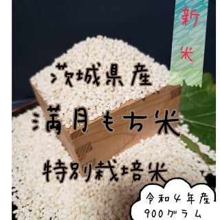 新米　満月もち米　900グラム　令和4年産　餅米(米/穀物)