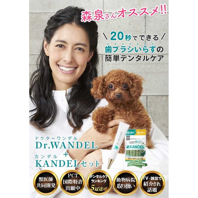 モテ Dr.WANDEL + KANDELドクターワンデル カンデル 4セット 家電