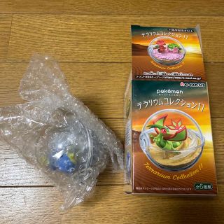 ポケットモンスター　テラリウムコレクション11(キャラクターグッズ)