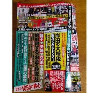 週刊ポスト 2023年 1/6号(ニュース/総合)