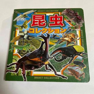 ポプラシャ(ポプラ社)の昆虫コレクション(絵本/児童書)