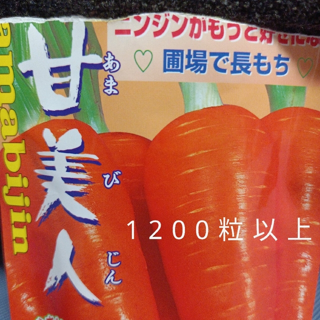 甘美人の種　小さじ１約５ml　1200粒　人参の種　野菜の種　野菜種 食品/飲料/酒の食品(野菜)の商品写真