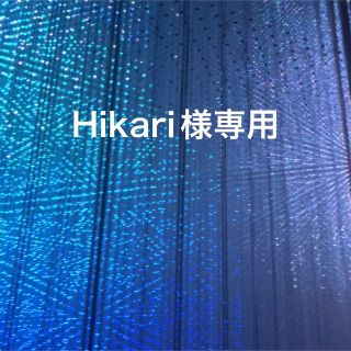 Hikari様専用(その他)