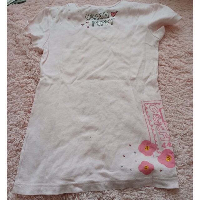 COACH(コーチ)のCOACH POPPY 半袖Tシャツ レディースのトップス(Tシャツ(半袖/袖なし))の商品写真